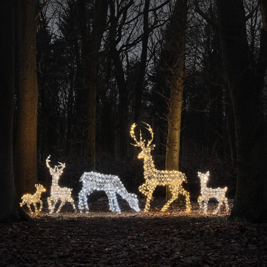 LED Rentiere