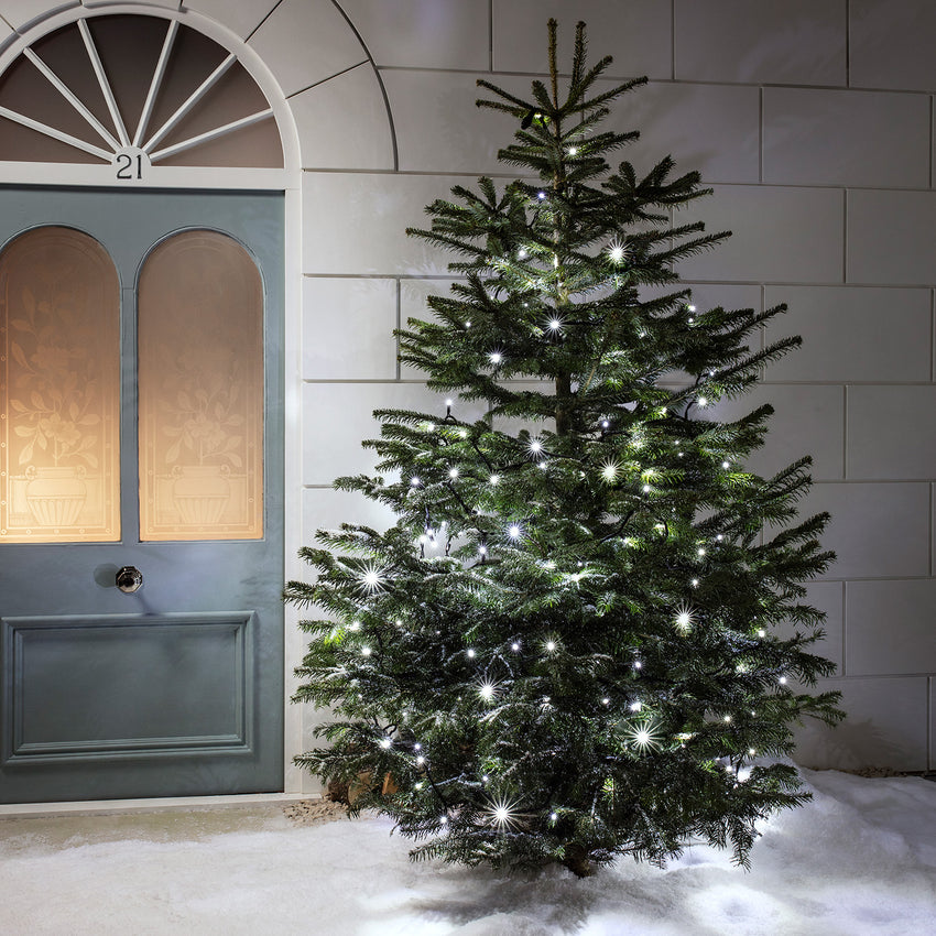 Weiß beleuchteter Weihnachtsbaum im Schnee vor einem Hauseingang
