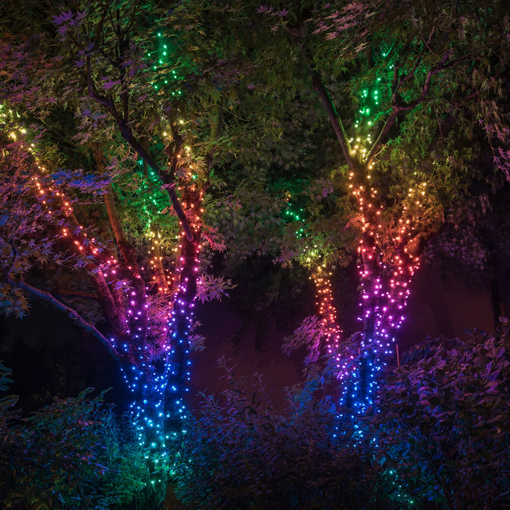 Twinkly 20m 250 LED smarte Lichterkette Bunt und Weiß Edition