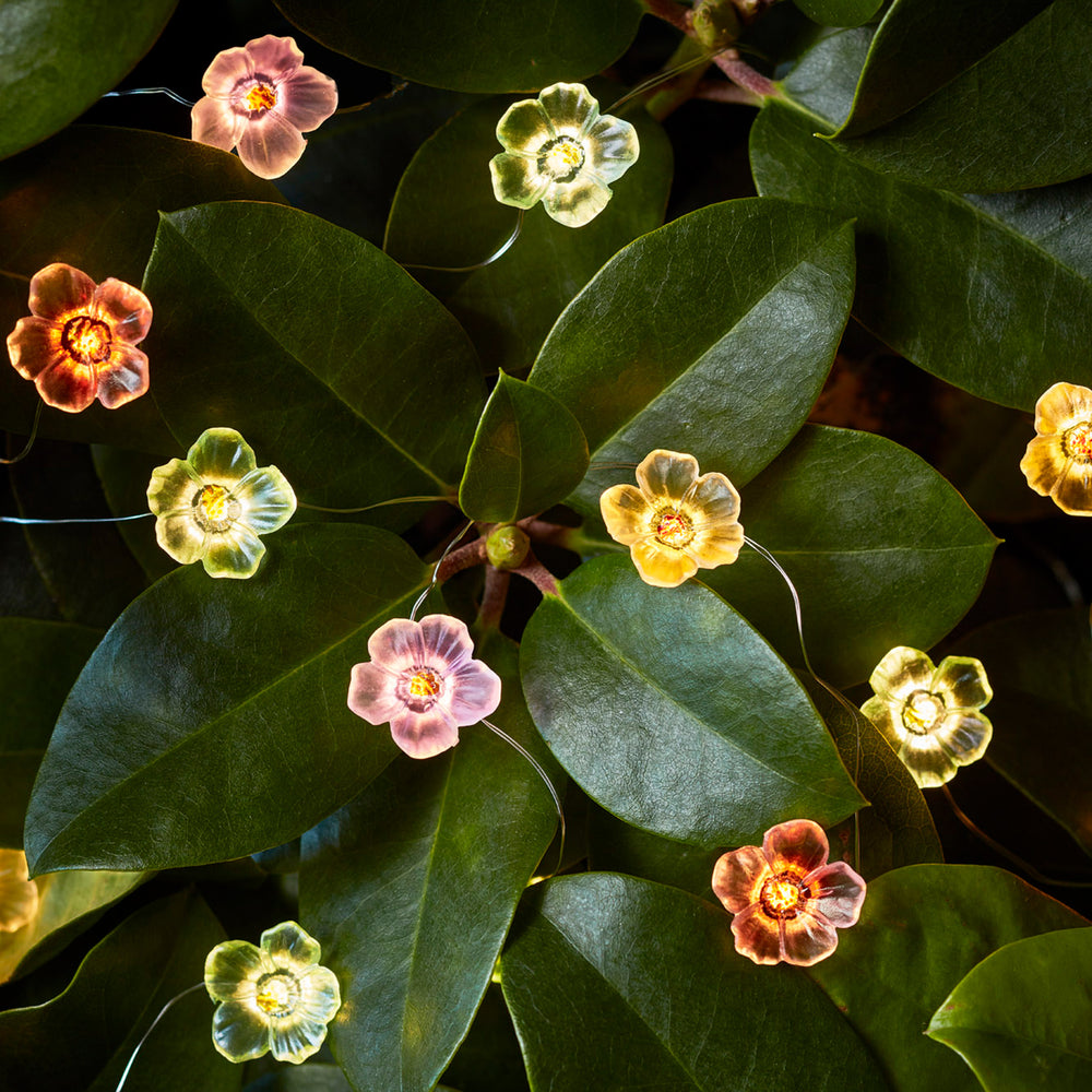 20er Micro Lichterkette außen bunte Rosen