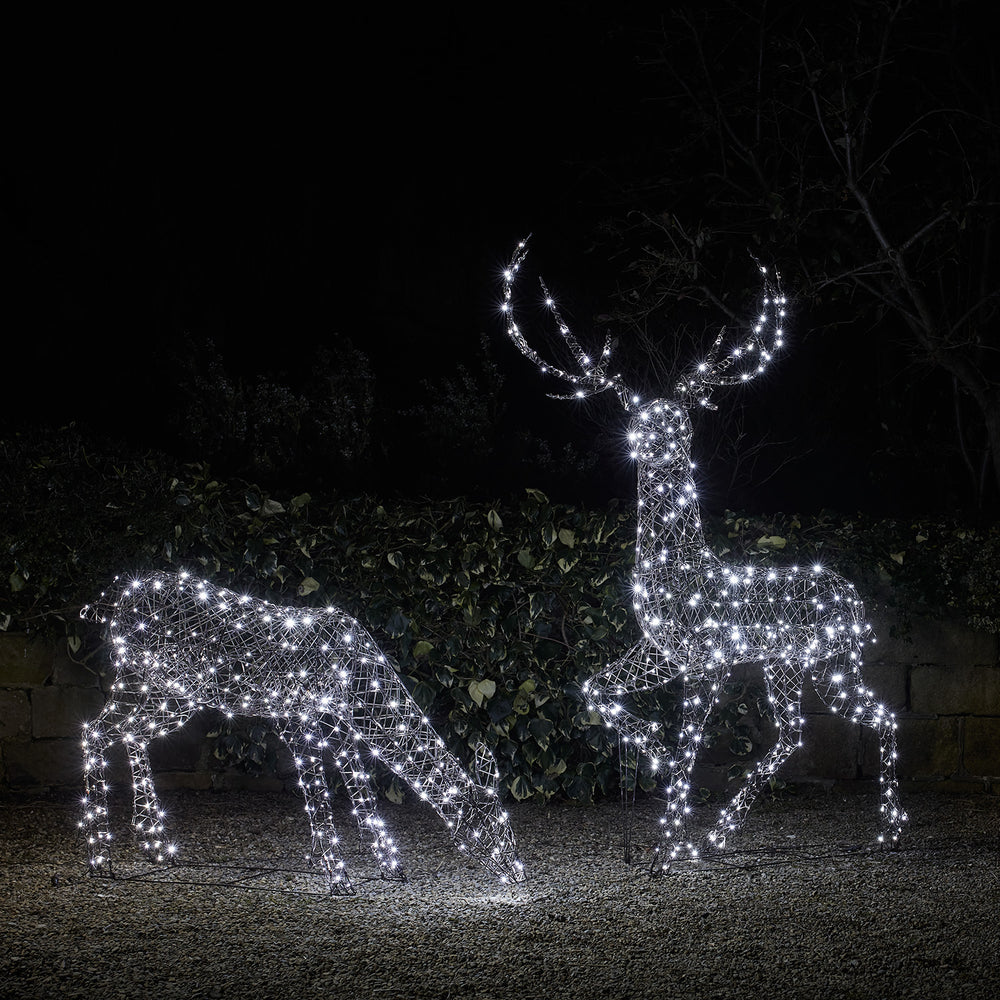 2er Set LED-Rentierfamilie Hirsch & Hirschkuh XL Studley