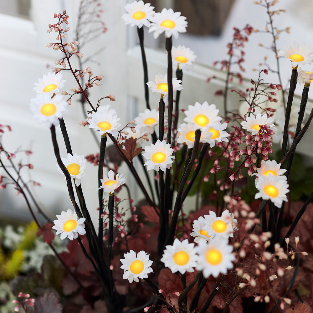 Gänseblümchen Lichter als Außendeko im Blumenbeet.