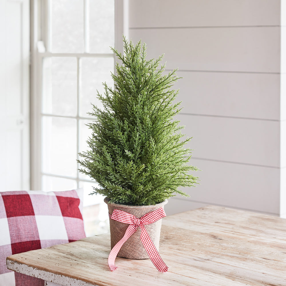 55cm Mini Weihnachtsbaum Tanne