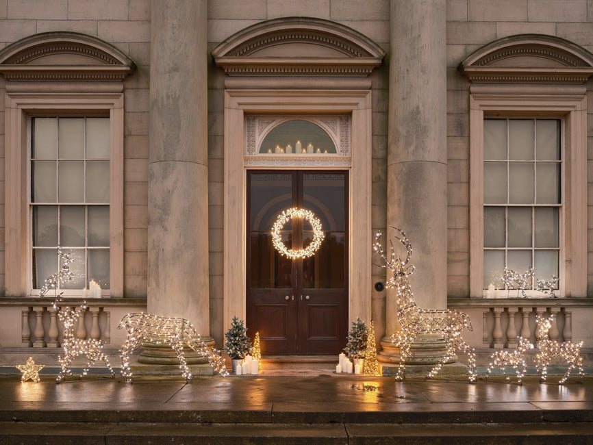 LED-Rentiere: Alles Wichtige auf einen Blick