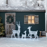 Swinsty Acryl LED-Rentiere