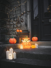 Fledermaus-Katze, Hexenbeine und eine Kürbislaterne