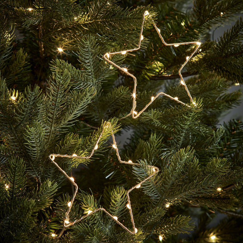 Zwei LED Sterne an den Zweigen eines Weihnachtsbaumes