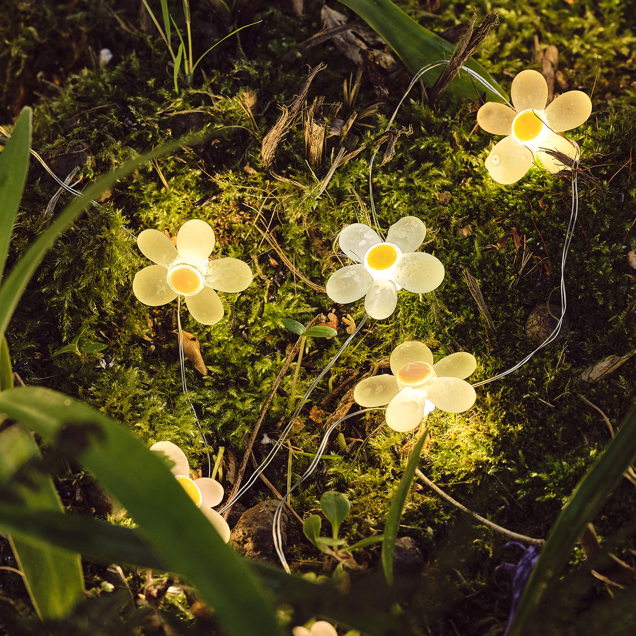 20er LED Micro Lichterkette außen Gänseblümchen
