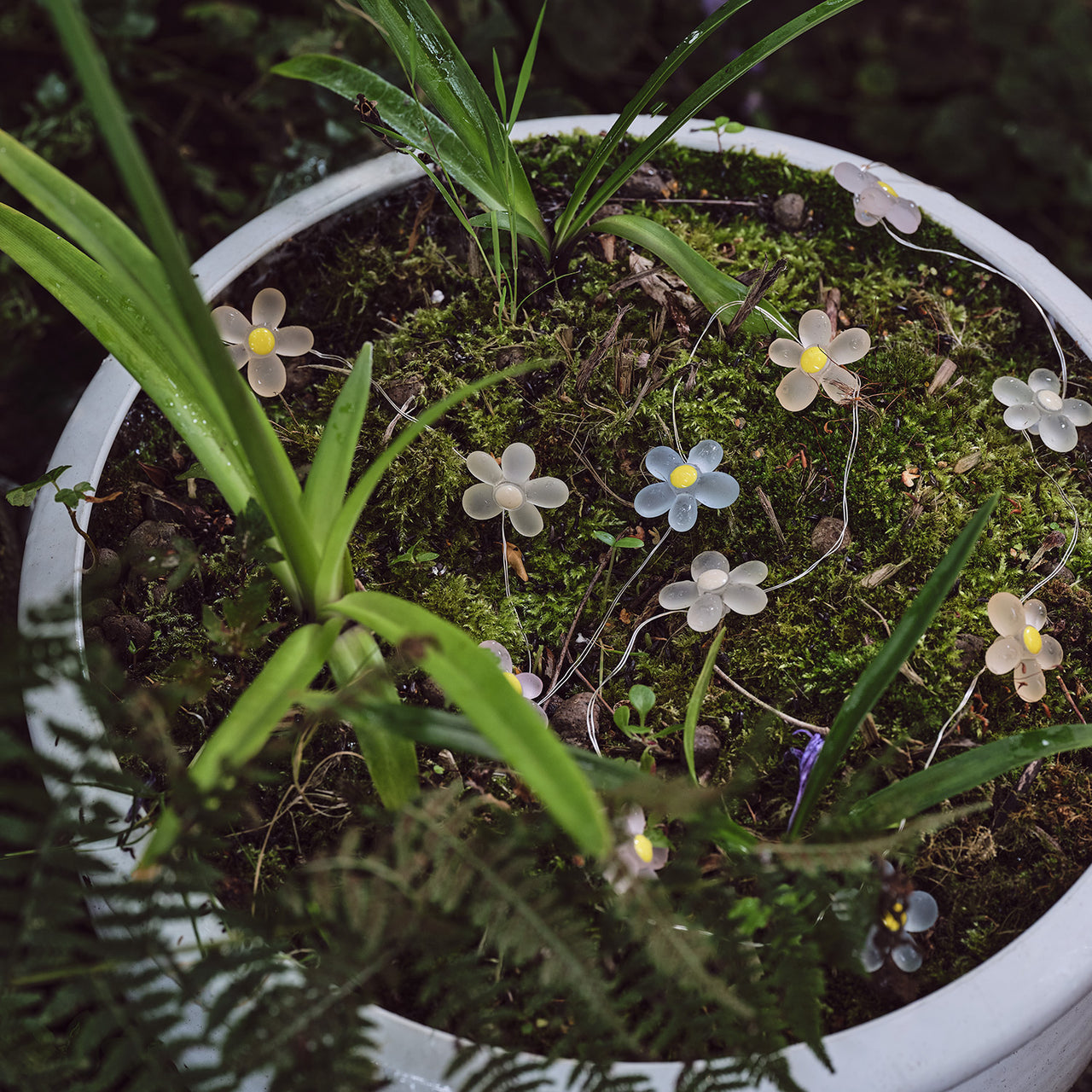 20er LED Micro Lichterkette außen Gänseblümchen