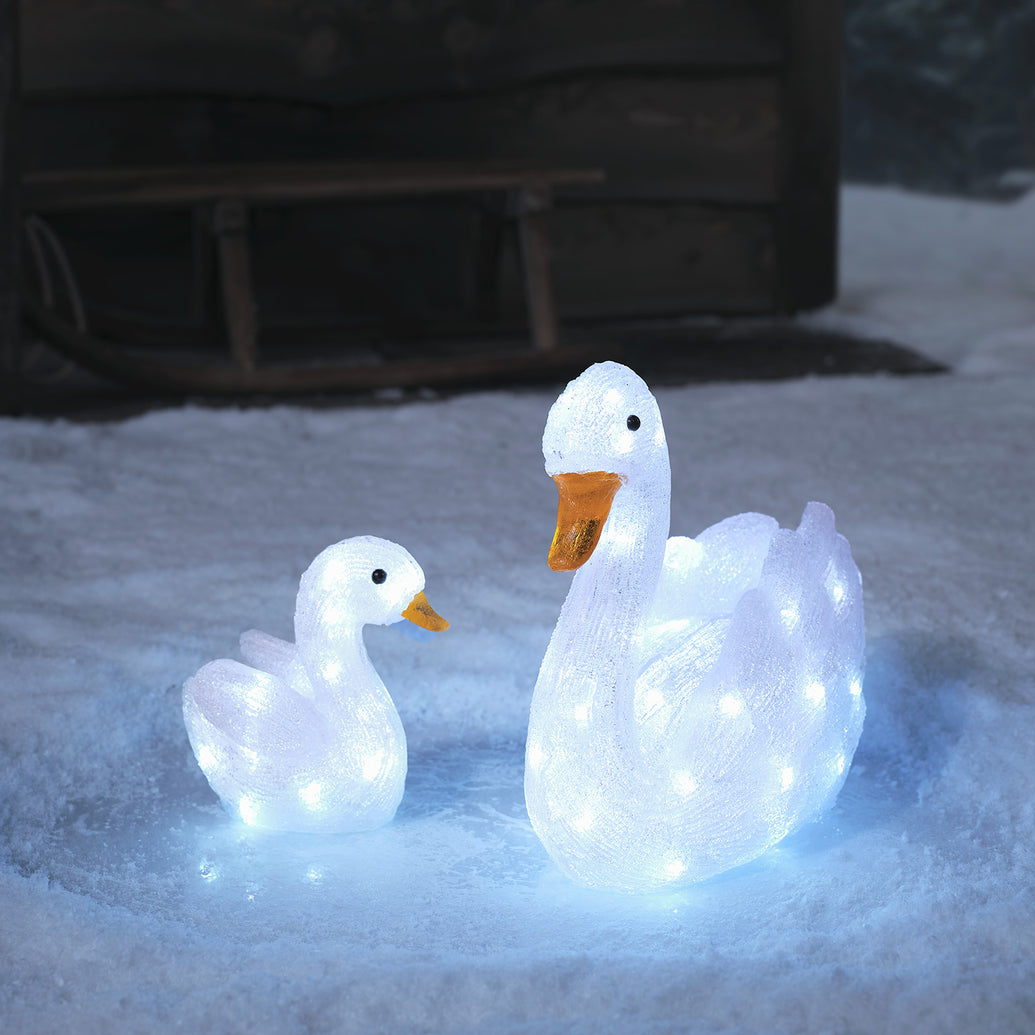 Winterzauber im Garten