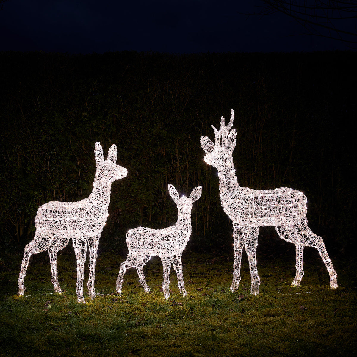 3er Set Bicolor Solar-LED-Rentierfamilie L Swinsty aus Acryl