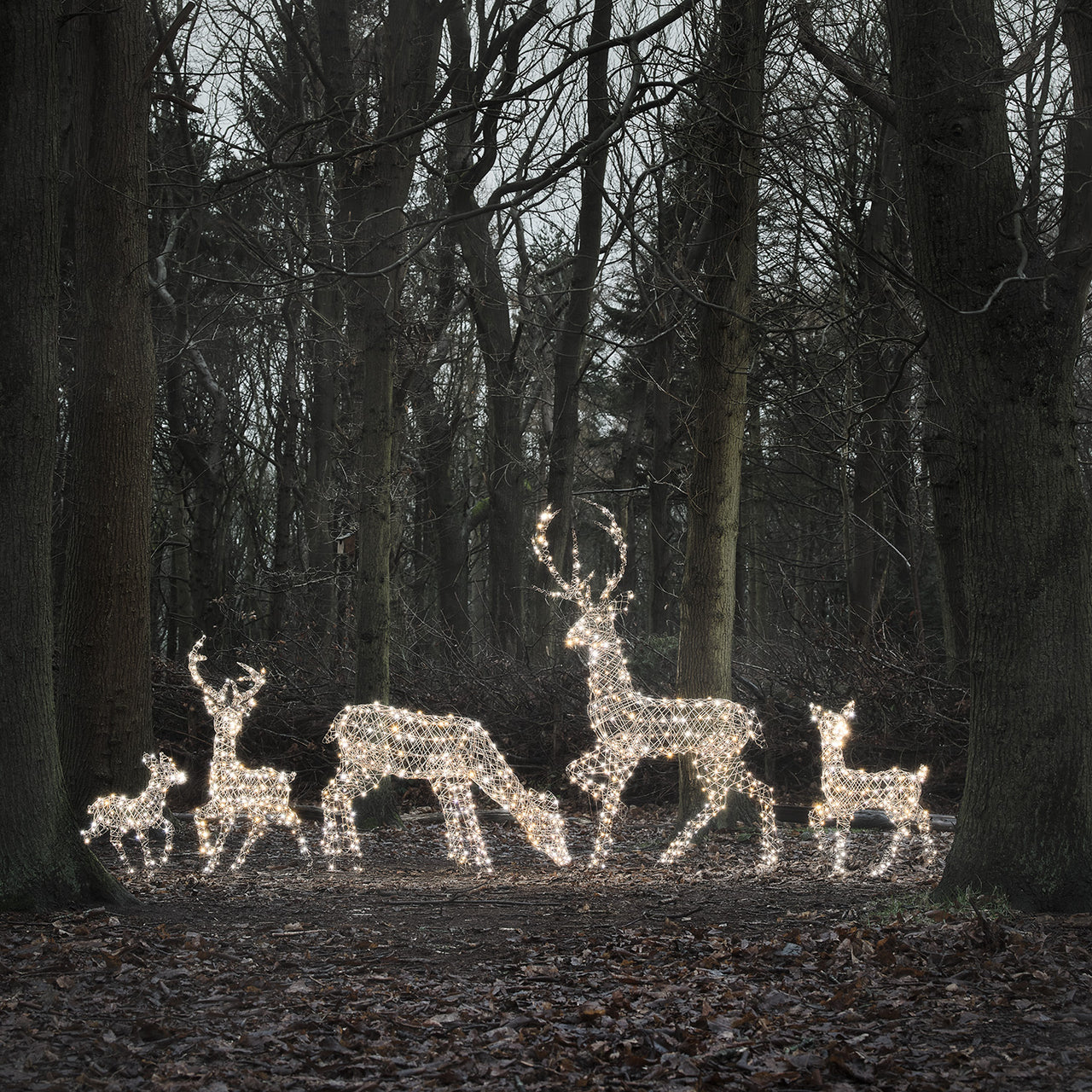 5er Set LED-Rentierfamilie XL Studley