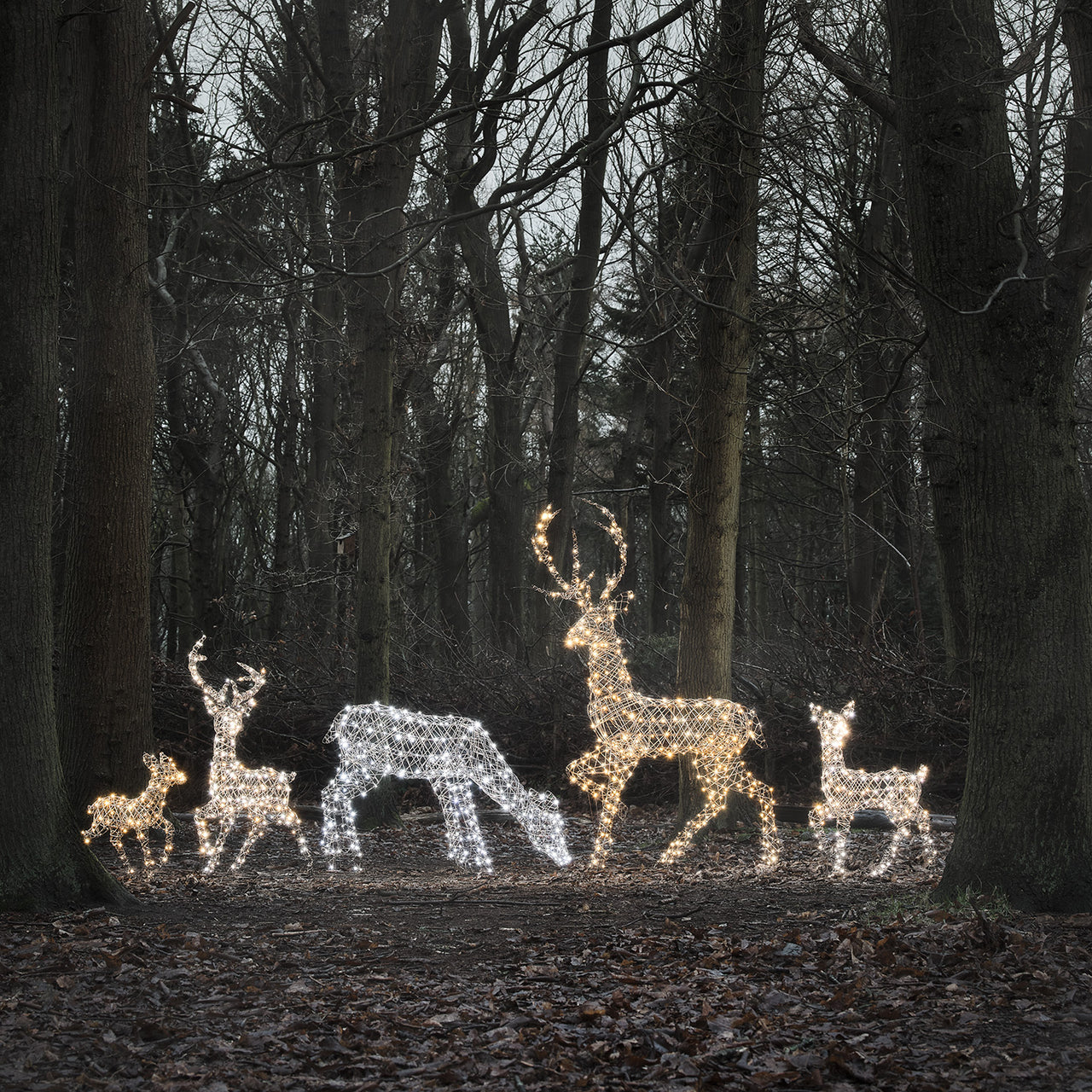 5er Set LED-Rentierfamilie XL Studley