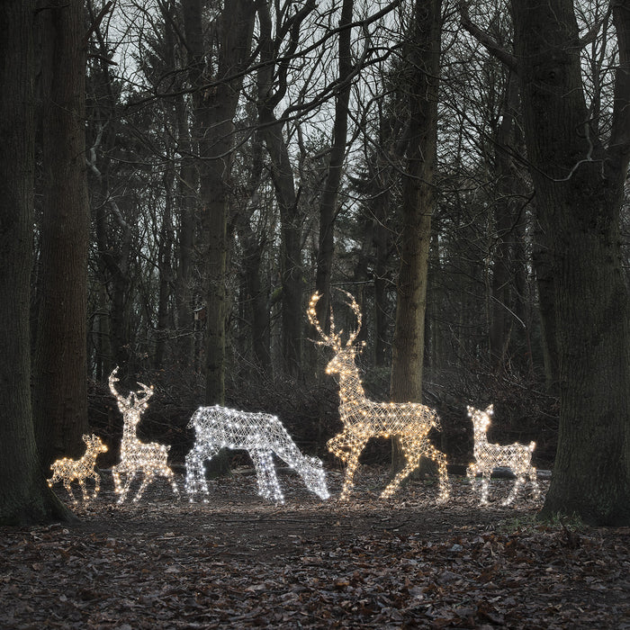 Weihnachten bei Lights4fun