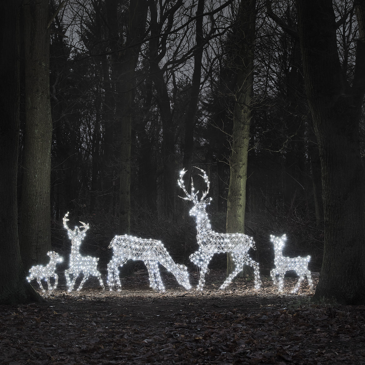 5er Set LED-Rentierfamilie XL Studley