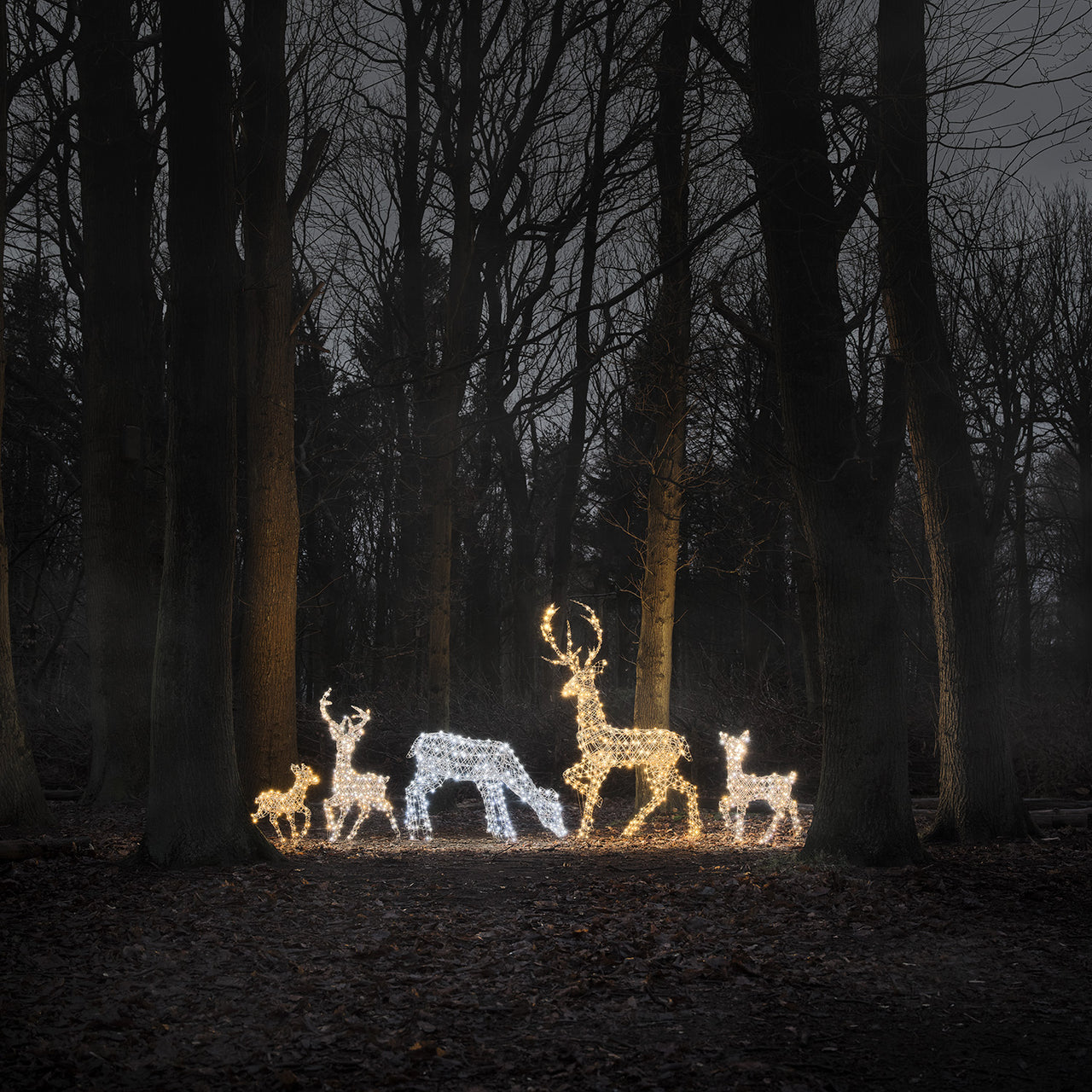 5er Set LED-Rentierfamilie XL Studley