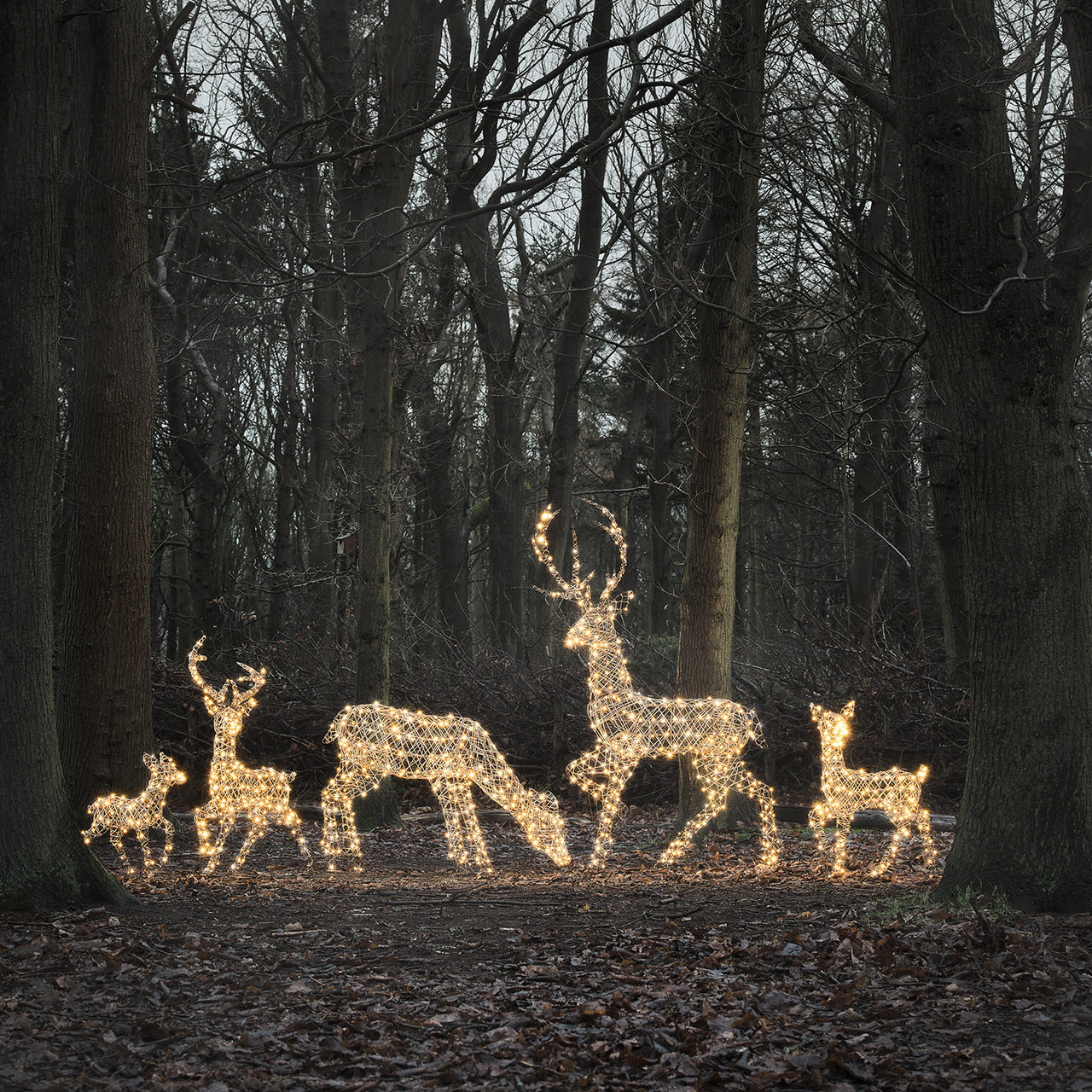5er Set LED-Rentierfamilie XL Studley