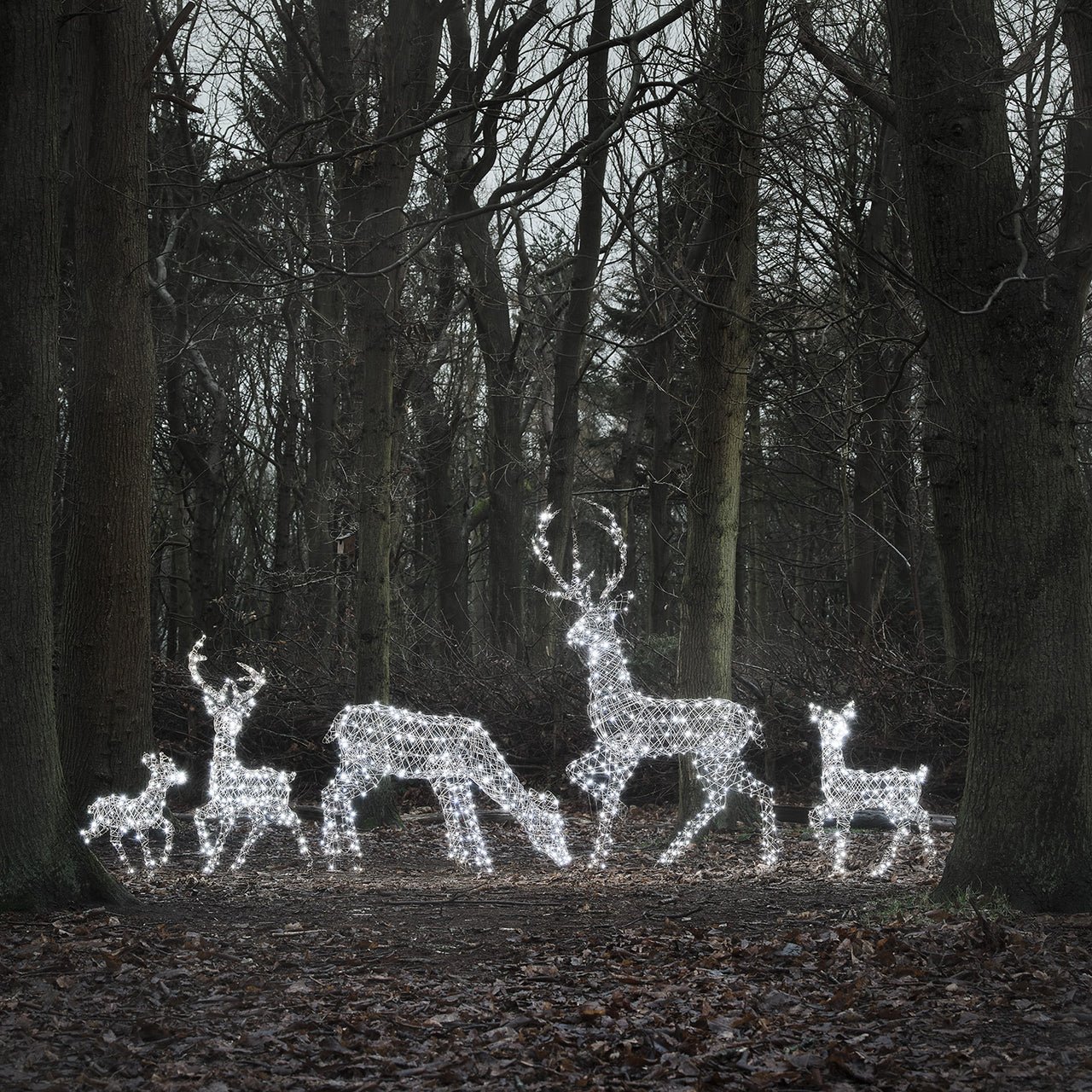 5er Set LED-Rentierfamilie XL Studley