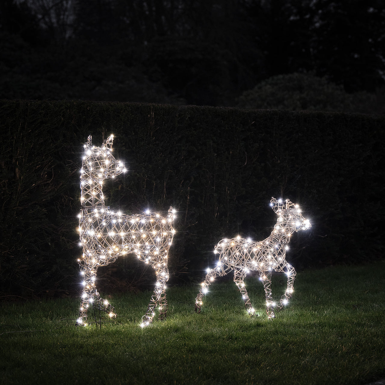 2er Set LED-Rentier Hirschkuh & Rehkitz L Studley
