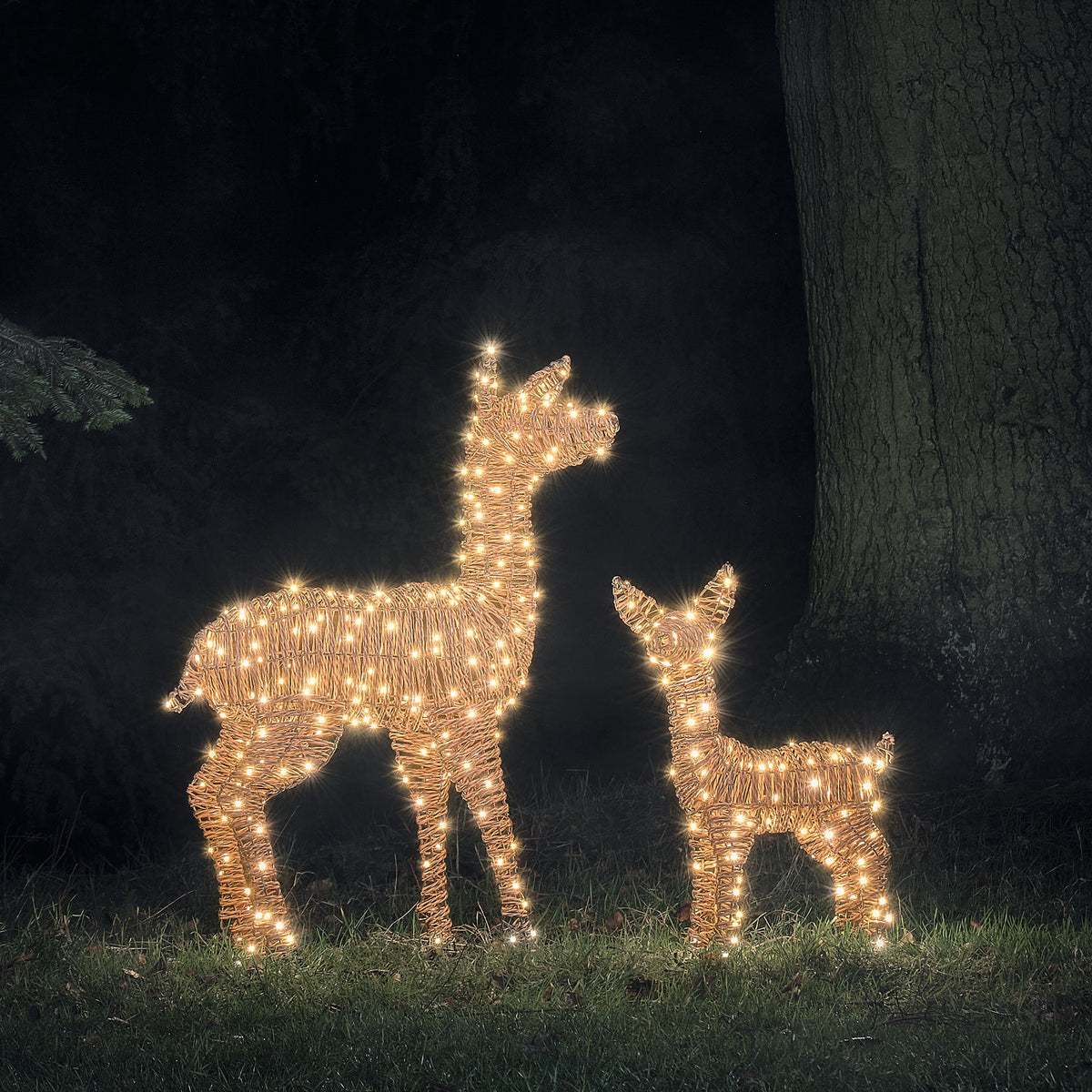 2er Set Pateley LED-Rentiere in Rattanoptik für den Außenbereich