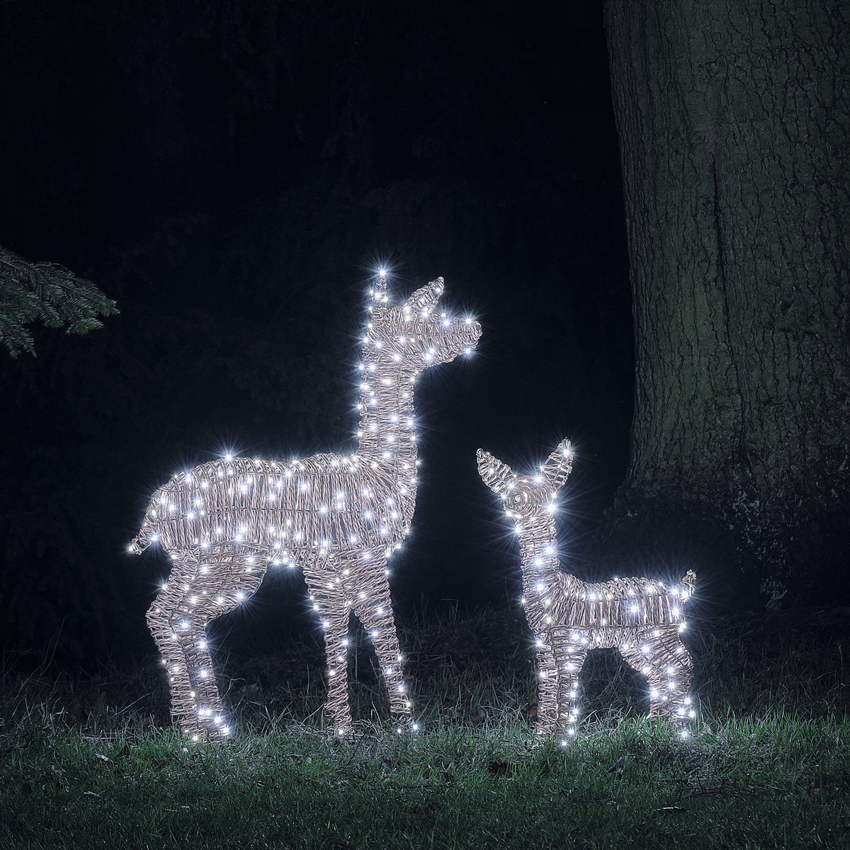 2er Set Pateley LED-Rentiere in Rattanoptik für den Außenbereich