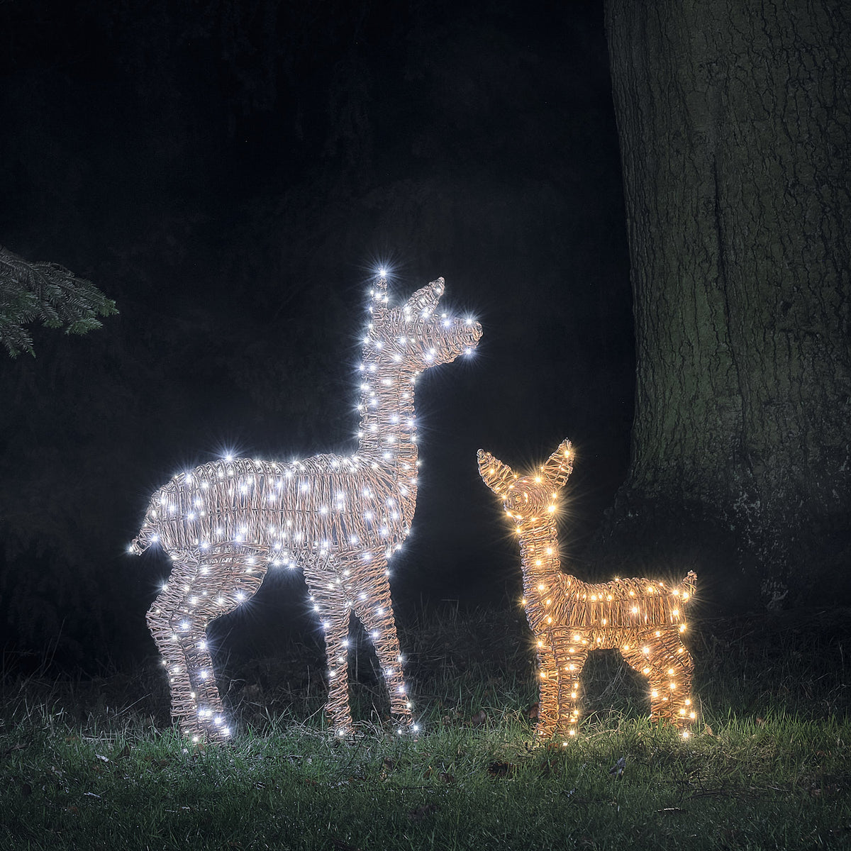 2er Set Pateley LED-Rentiere in Rattanoptik für den Außenbereich