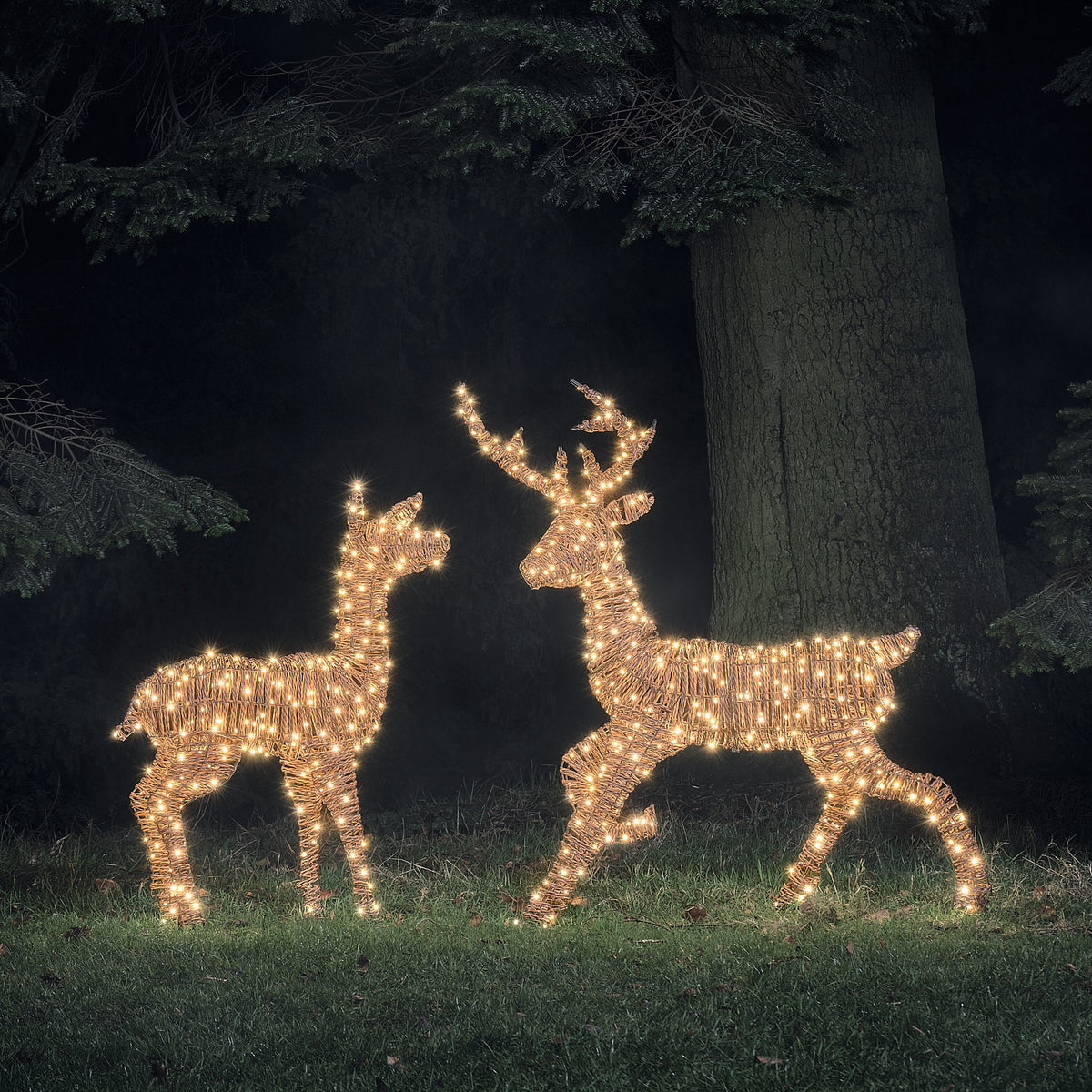 2er Set Pateley Bicolor LED-Rentiere Hirsch und Hirschkuh in Rattanoptik