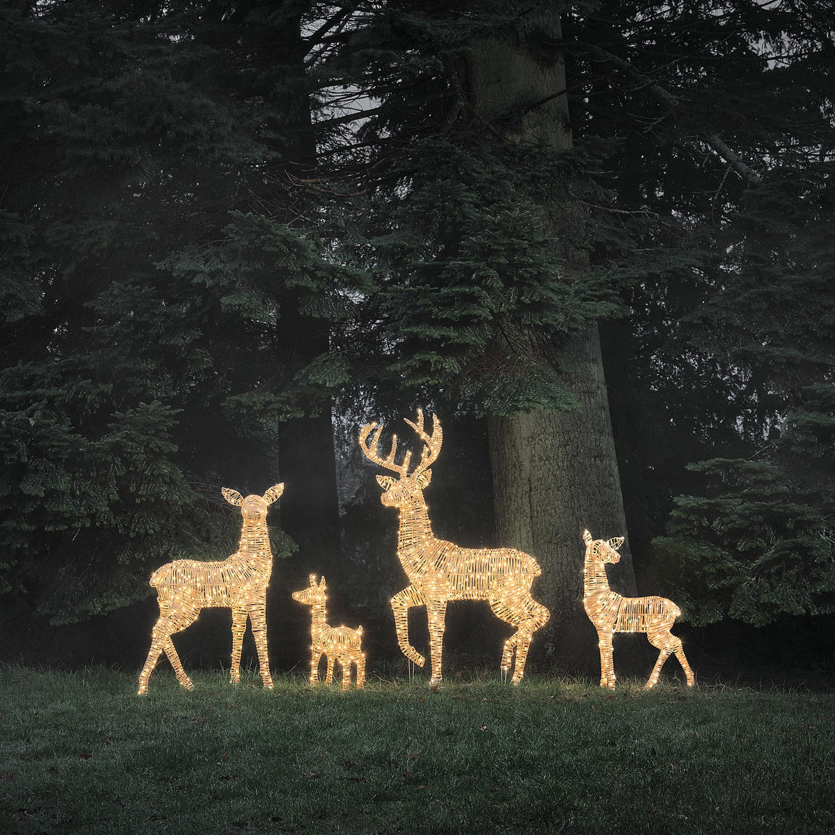 4er Set Leyburn Rattan LED-Rentier-Familie mit Bicolor-LEDs für den Außenbereich
