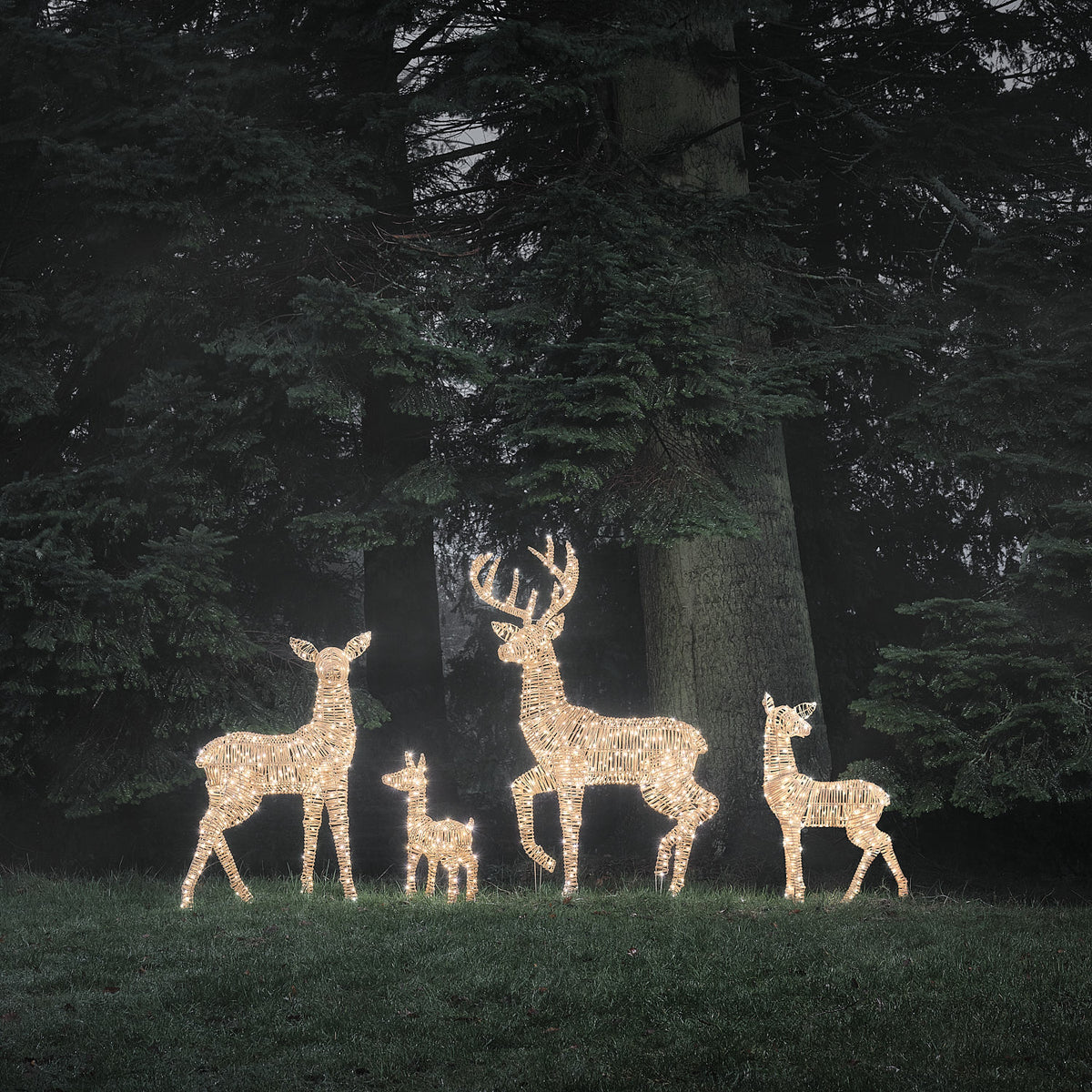 4er Set Leyburn Rattan LED-Rentier-Familie mit Bicolor-LEDs für den Außenbereich