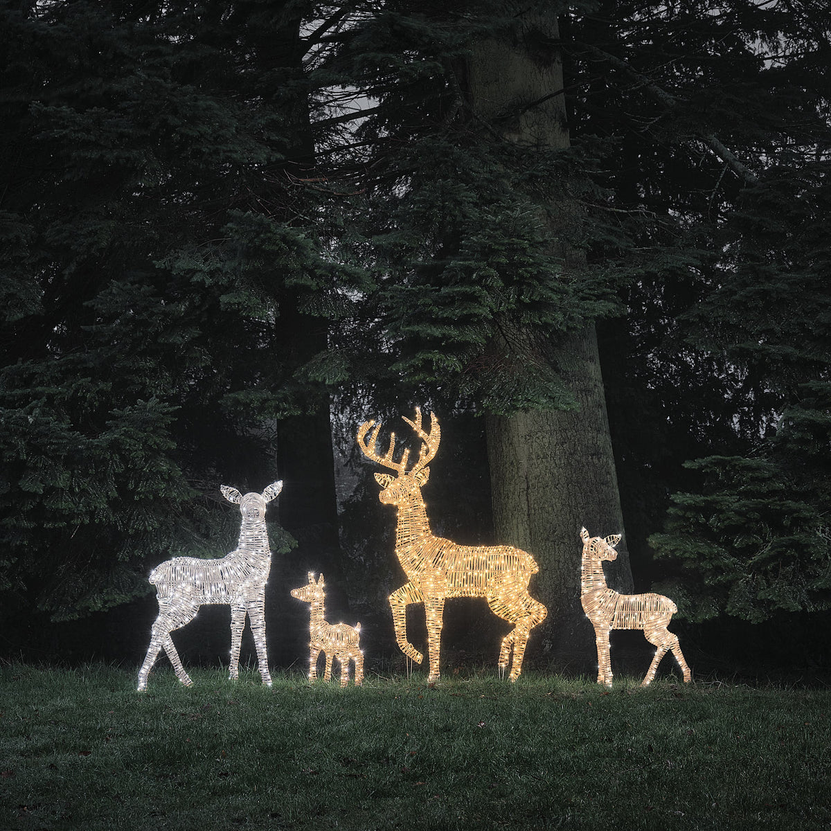 Leyburn XL Bicolor LED-Rentierfamilie