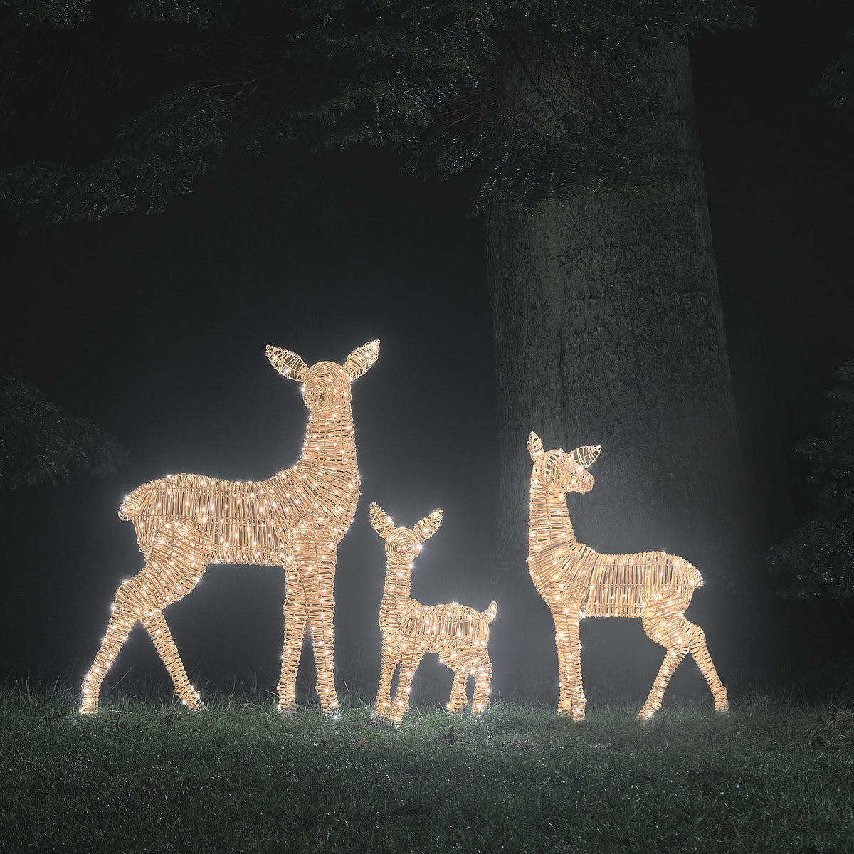 3er Set Leyburn Bicolor LED-Rentierfamilie in Rattanoptik für den Außenbereich