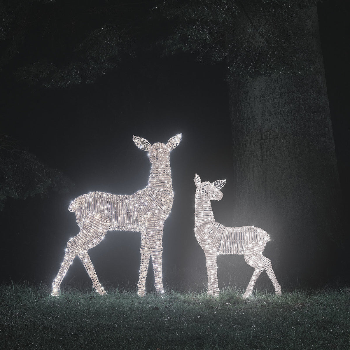 2er Set Leyburn Rattan Bicolor LED-Rentiere Hirschkuh und Rehkitz XL mit 600 LEDs
