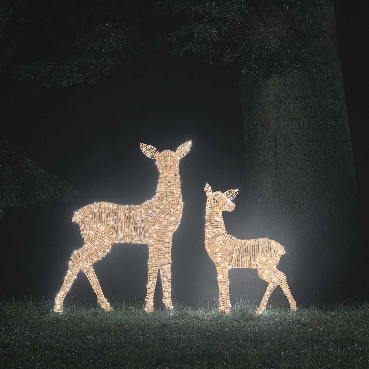 2er Set Leyburn Rattan Bicolor LED-Rentiere Hirschkuh und Rehkitz XL mit 600 LEDs