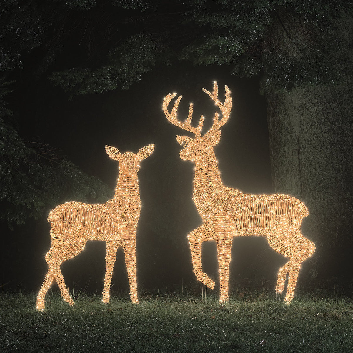 2er Set Bicolor LED-Rentiere Hirsch & Hirschkuh XL Leyburn