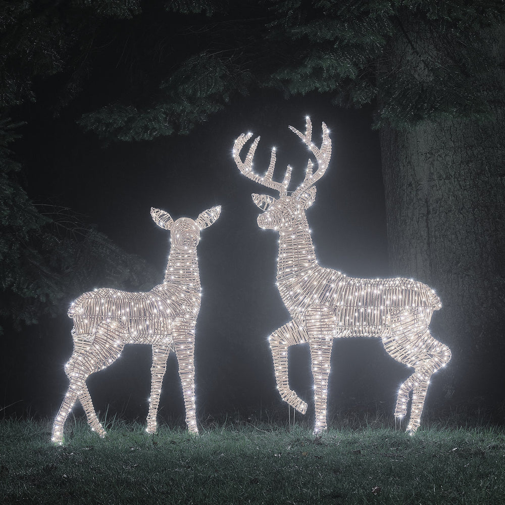 LED-Rentiere Hirsch und Hirschkuh in weißem Licht beleuchtet vor dunklem Wald bei Nacht