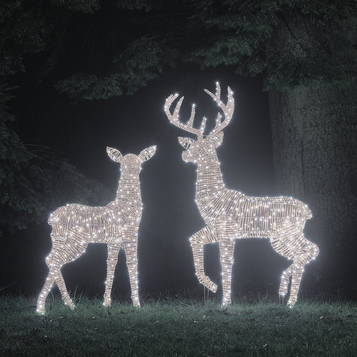 2er Set Bicolor LED-Rentiere Hirsch & Hirschkuh XL Leyburn