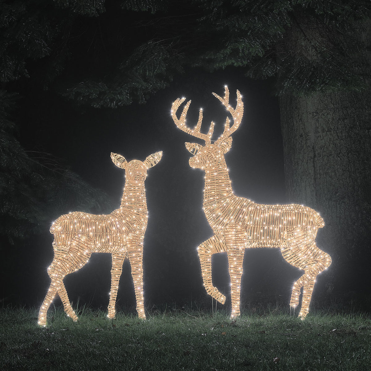 2er Set Bicolor LED-Rentiere Hirsch & Hirschkuh XL Leyburn