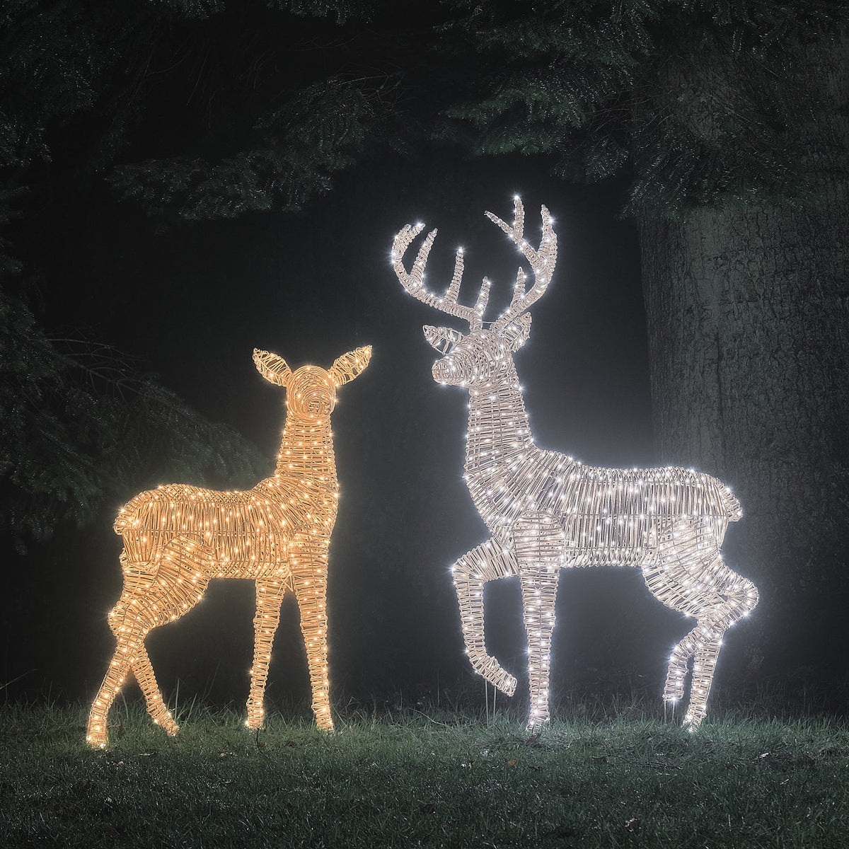 2er Set Bicolor LED-Rentiere Hirsch & Hirschkuh XL Leyburn