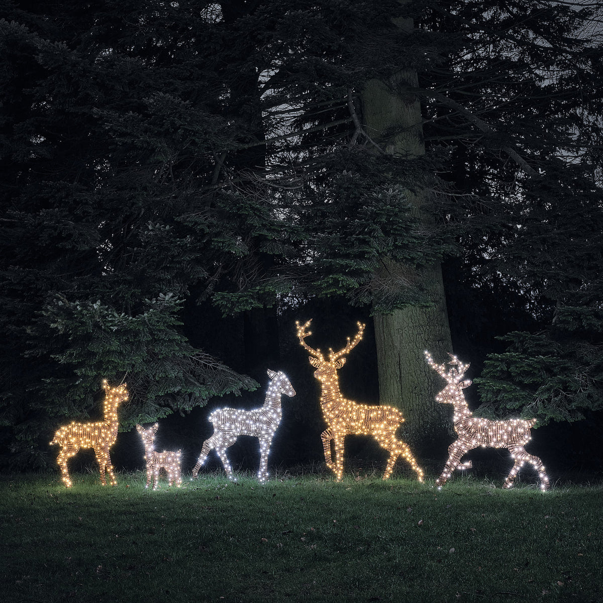 Pateley XL LED-Rentier Familie tan-Look mit bicolor, warmweißer und kaltweißer Beleuchtung im Garten