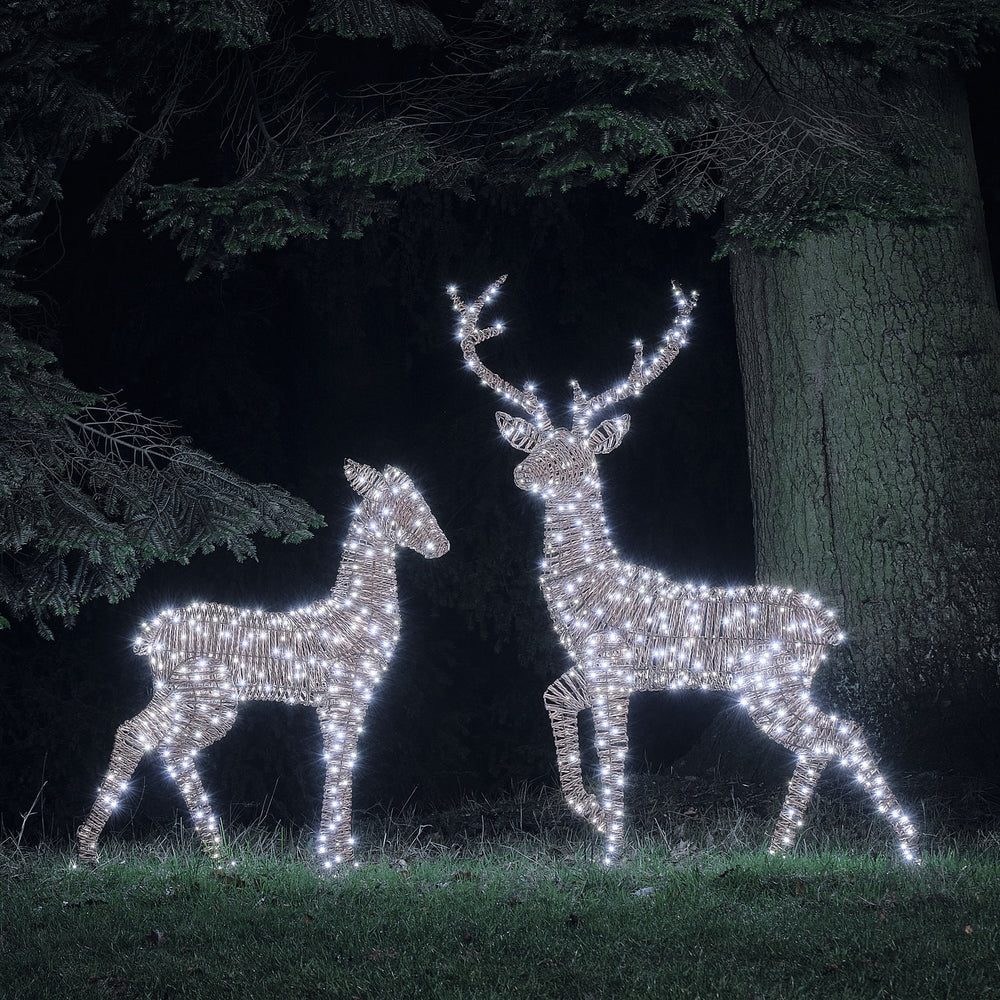 LED-Rentiere Hirsch und Hirschkuh in Rattan-Optik leuchtend in weiß im Garten bei Nacht
