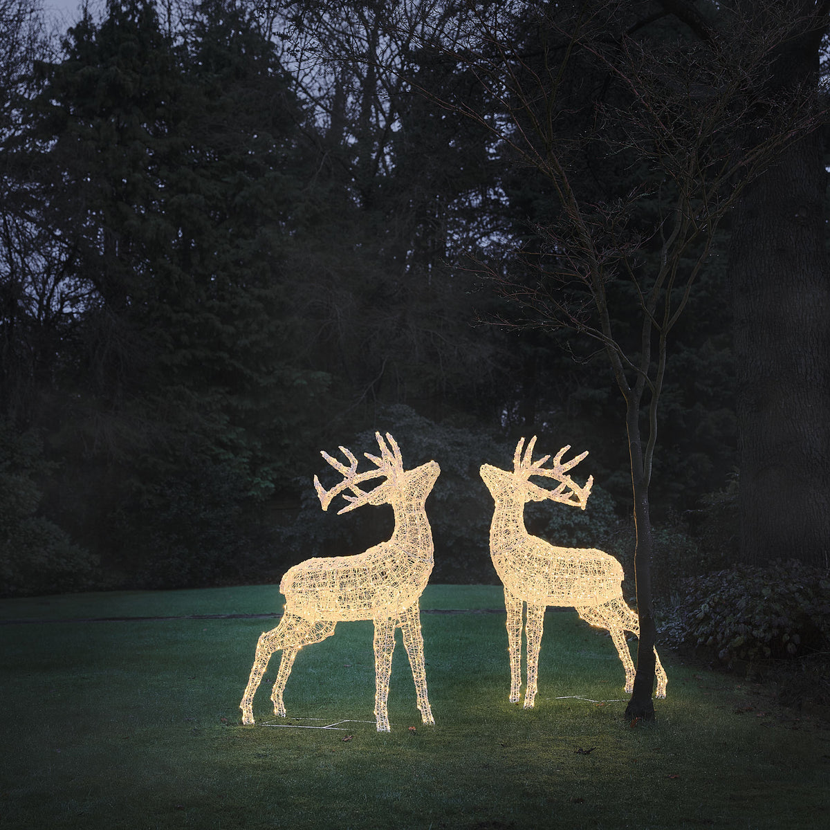 2er Set XL Swinsty LED-Hirsche aus weißem Acryl für den Außenbereich