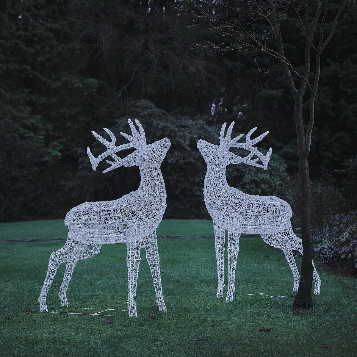 2er Set XL Swinsty LED-Hirsche aus weißem Acryl für den Außenbereich