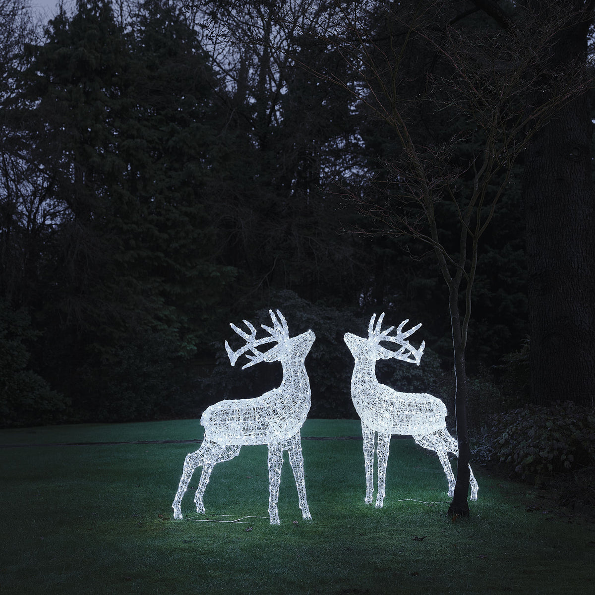 2er Set XL Swinsty LED-Hirsche aus weißem Acryl für den Außenbereich