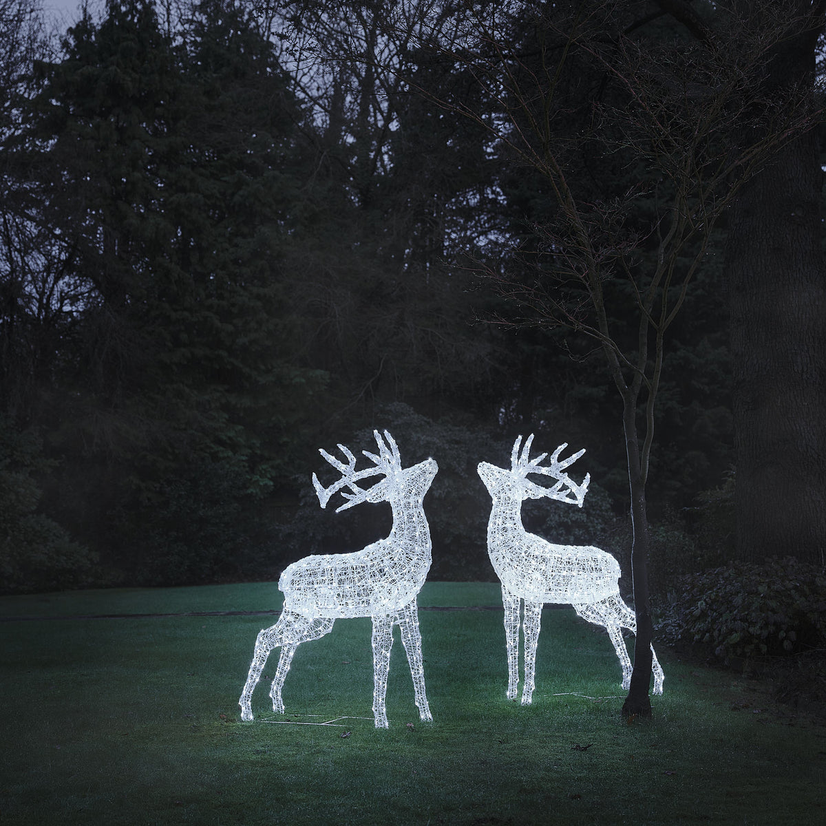 2er Set XL Swinsty LED-Hirsche aus weißem Acryl für den Außenbereich