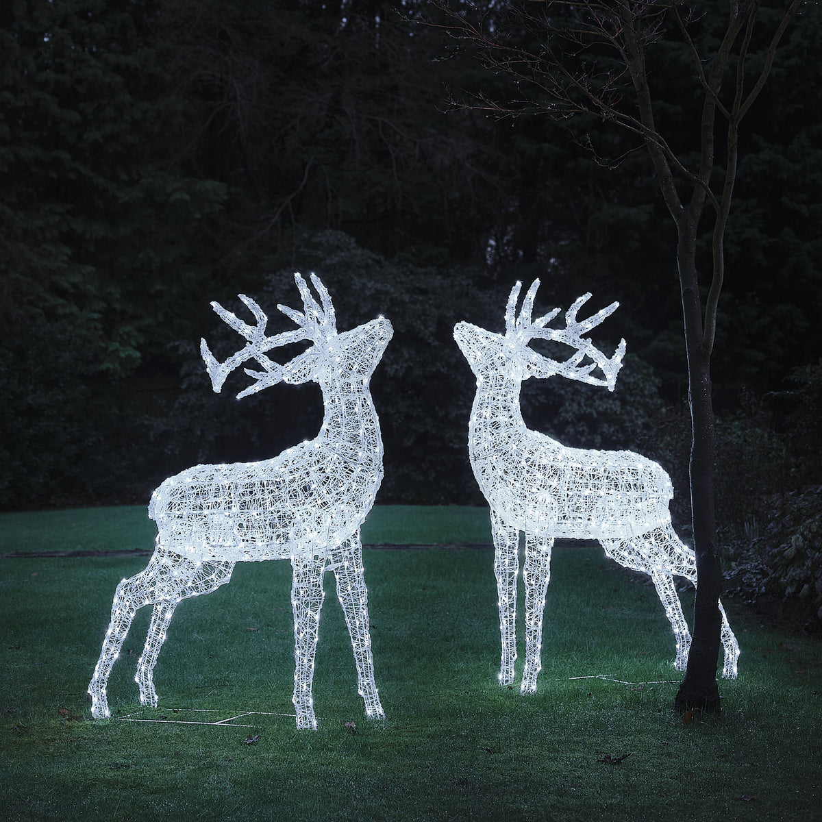 2er Set XL Swinsty LED-Hirsche aus weißem Acryl für den Außenbereich