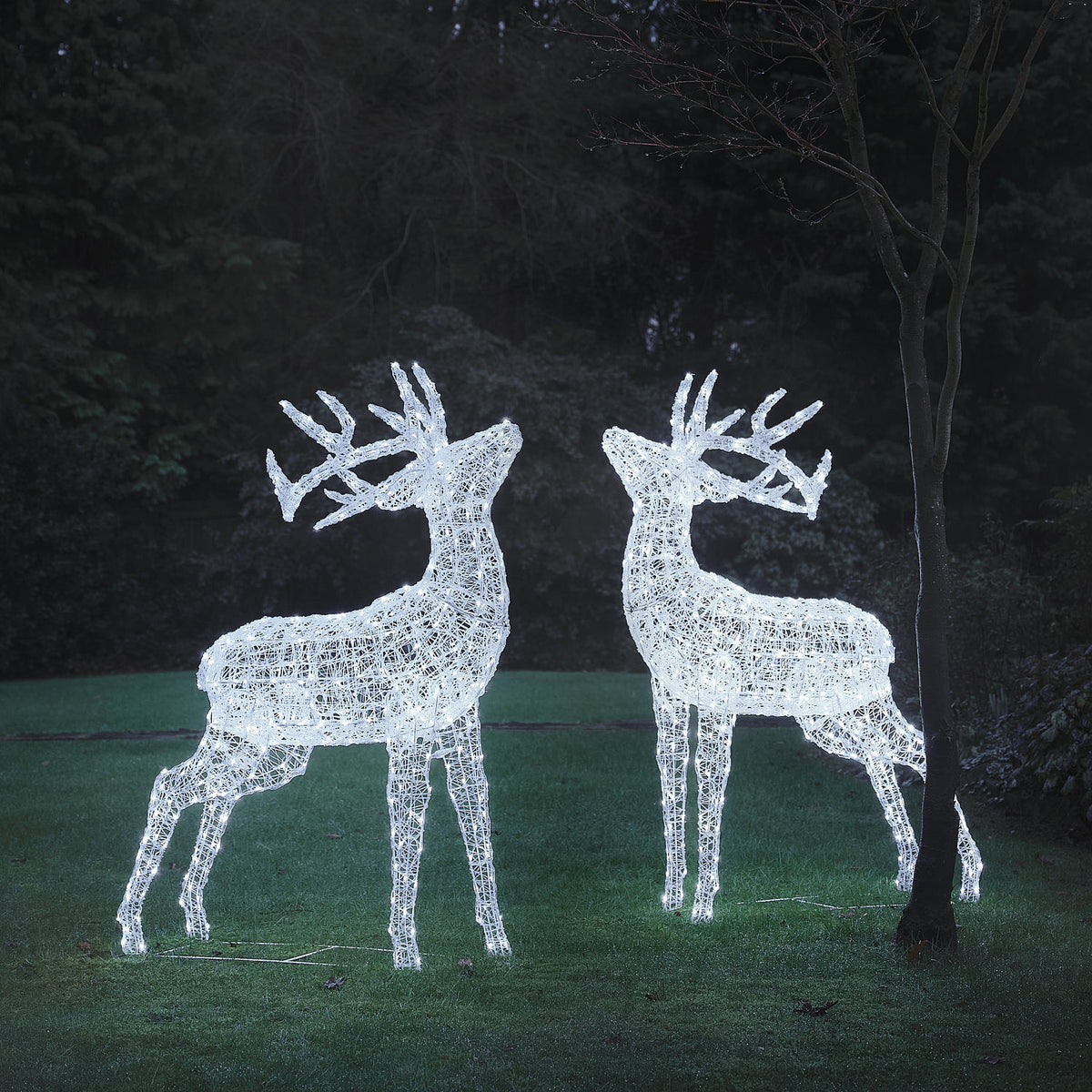 2er Set XL Swinsty LED-Hirsche aus weißem Acryl für den Außenbereich