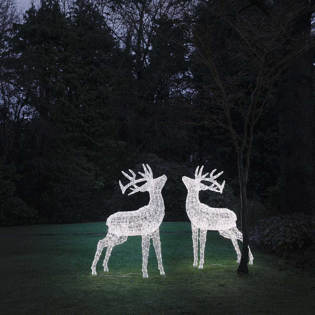 2er Set XL Swinsty LED-Hirsche aus weißem Acryl für den Außenbereich