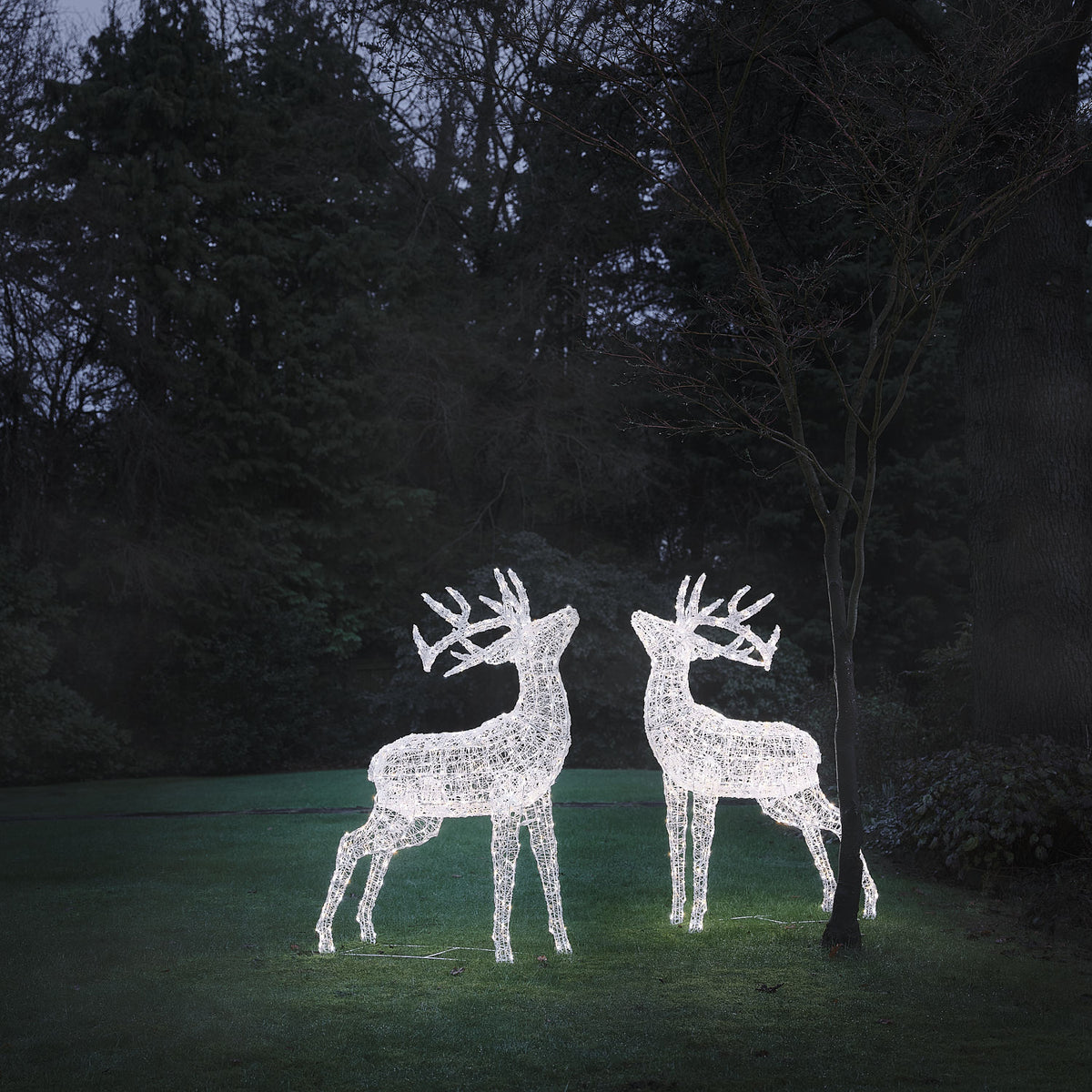 2er Set XL Swinsty LED-Hirsche aus weißem Acryl für den Außenbereich