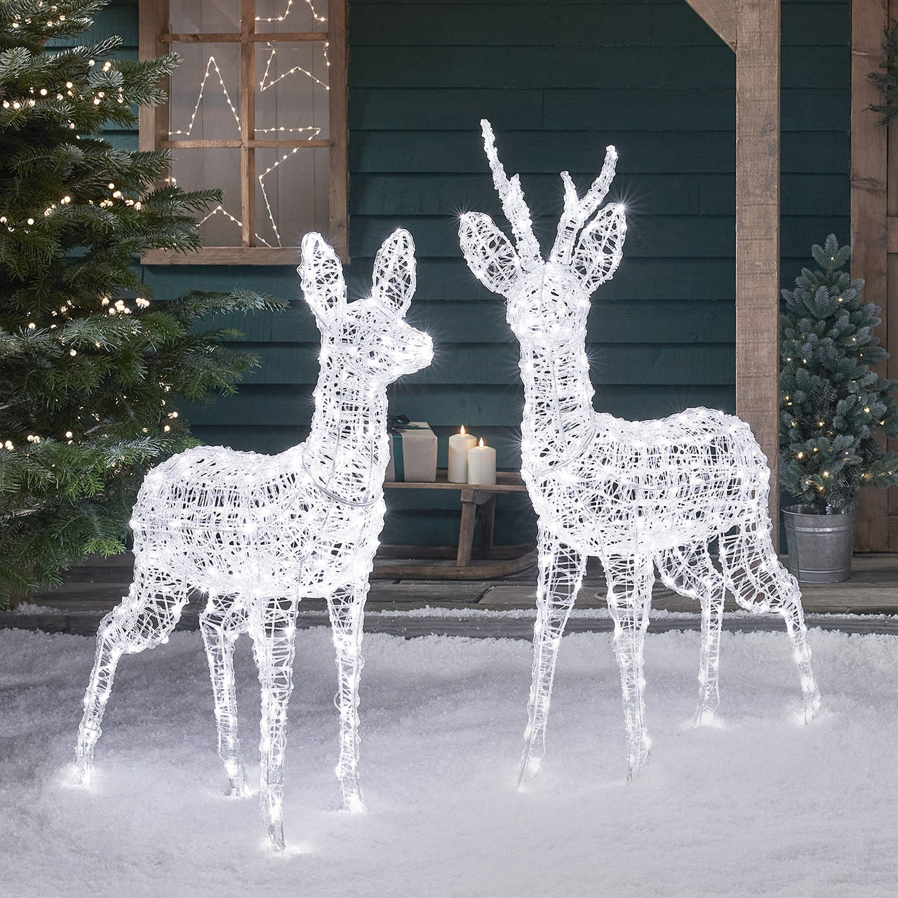 Swinsty Bicolor LED Rentiere Vater und Mutter