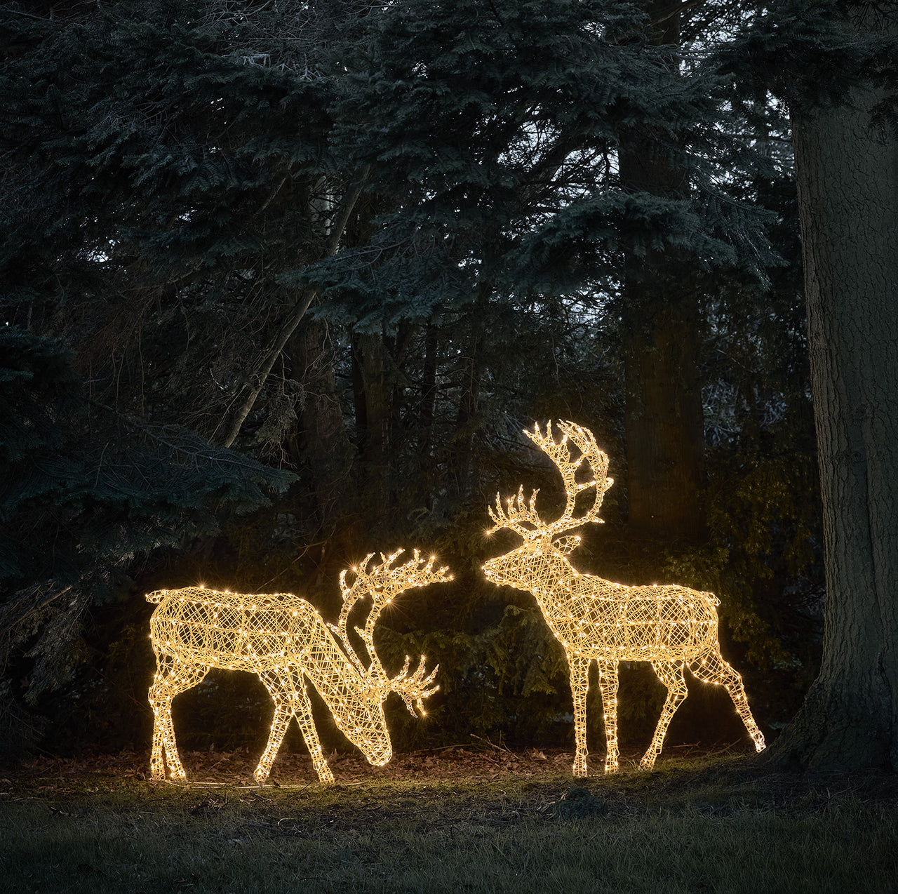 Großes Arkendale Bicolor LED Rentier Duo